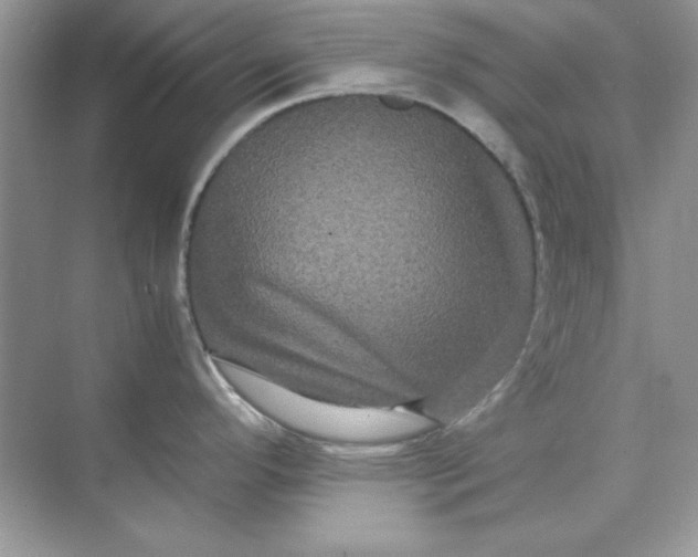 X0000071901296200607212006