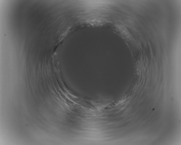 X0000071901298200607212006