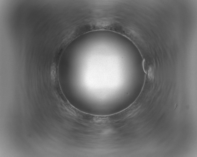 X0000071901299200607212006