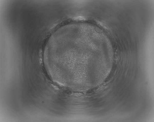 X0000071901301200607212006