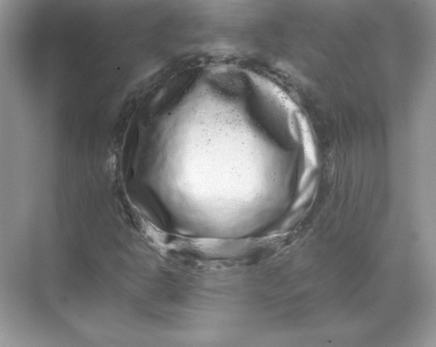 X0000071901302200607212006