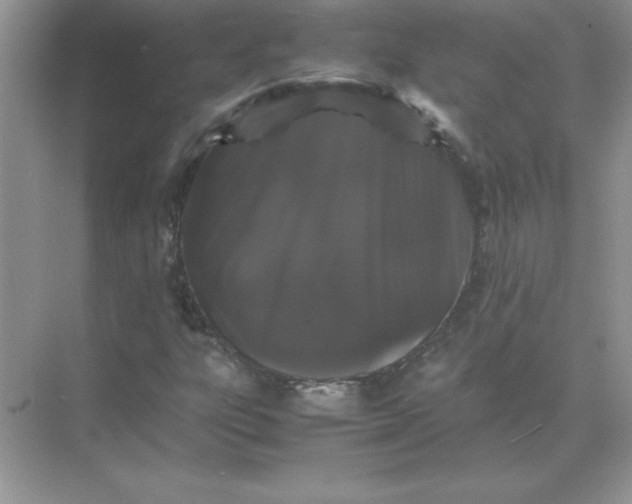 X0000071901303200607212006