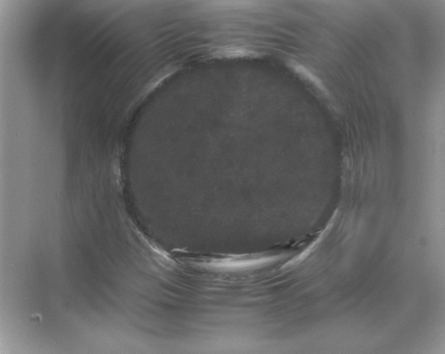 X0000071901305200607212006