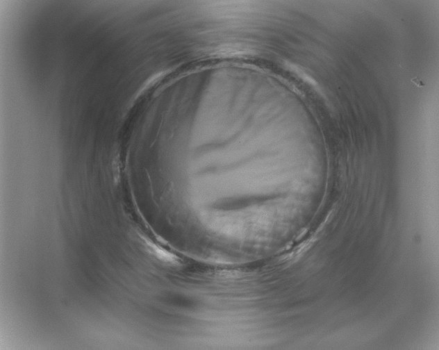 X0000071901306200607212006