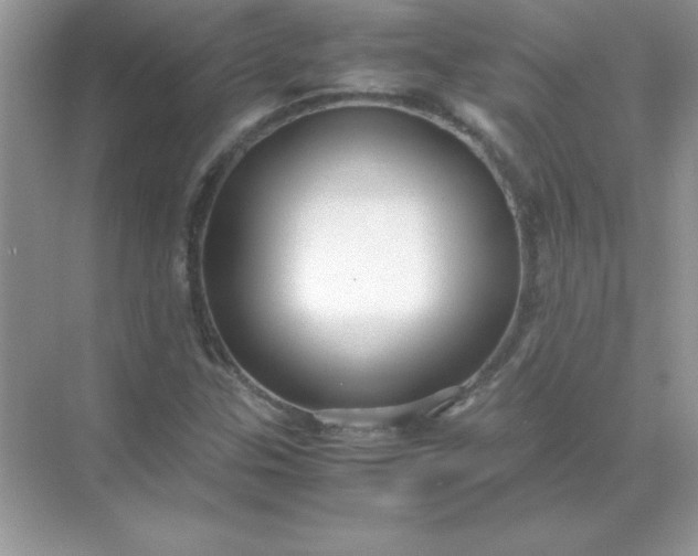 X0000071901307200607212006