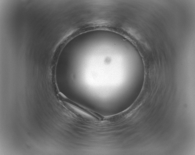 X0000071901309200607212006