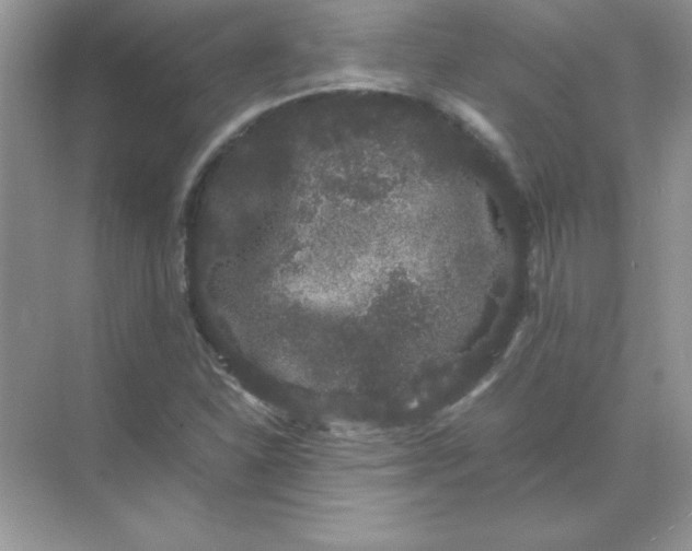 X0000071901310200607212006