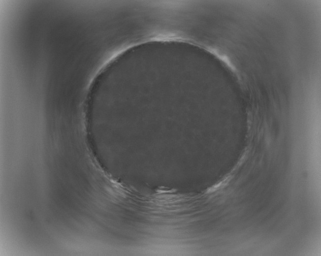 X0000071901311200607212006