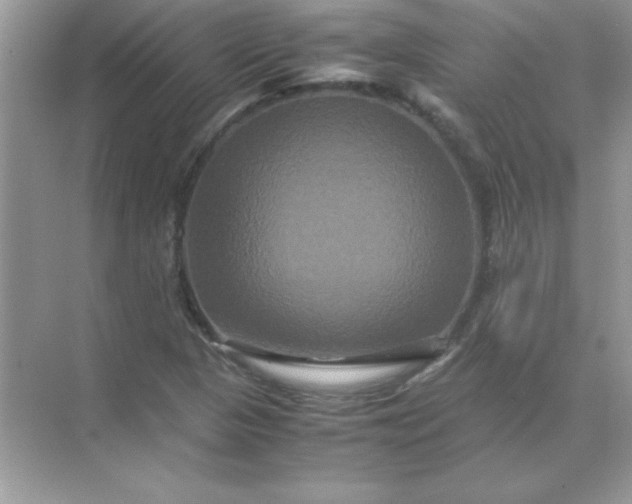 X0000071901313200607212006