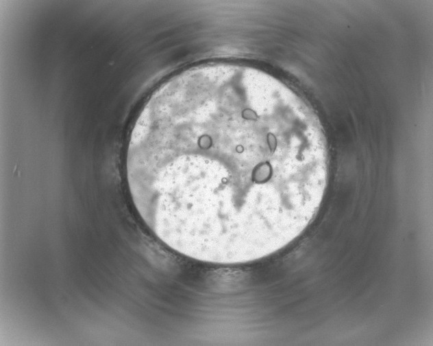 X0000071901314200607212006