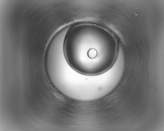 X0000071901316200607212006