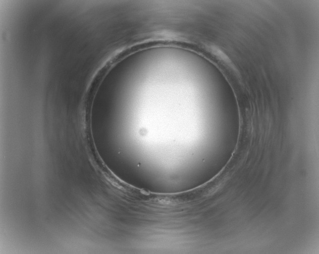 X0000071901318200607212006