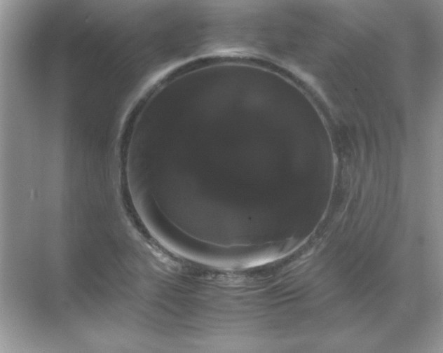 X0000071901319200607212006