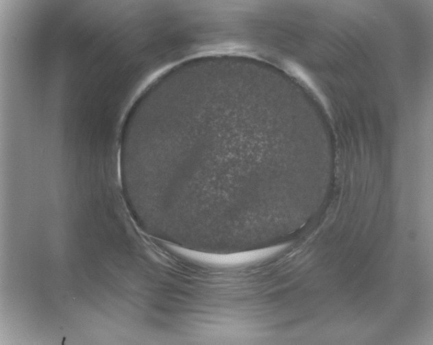 X0000071901320200607212006