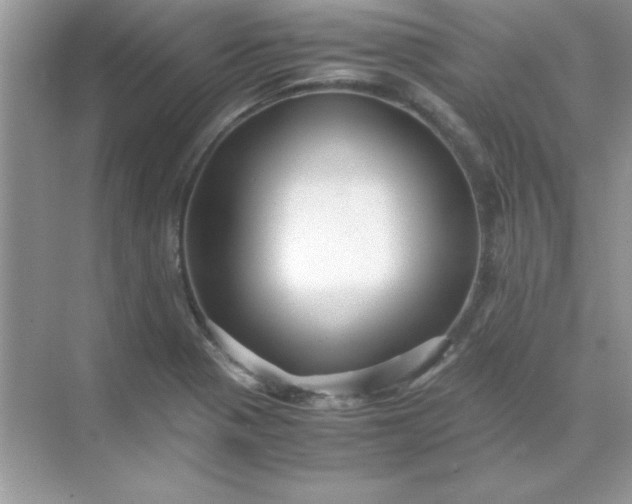 X0000071901321200607212006