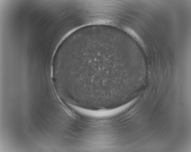 X0000071901324200607212006