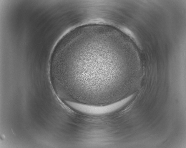 X0000071901326200607212006