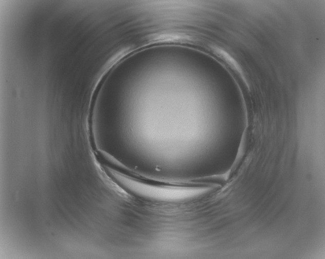 X0000071901330200607212006