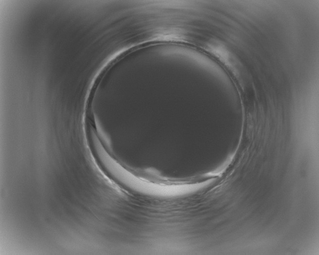 X0000071901331200607212006