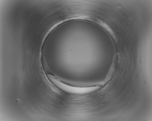 X0000071901332200607212006