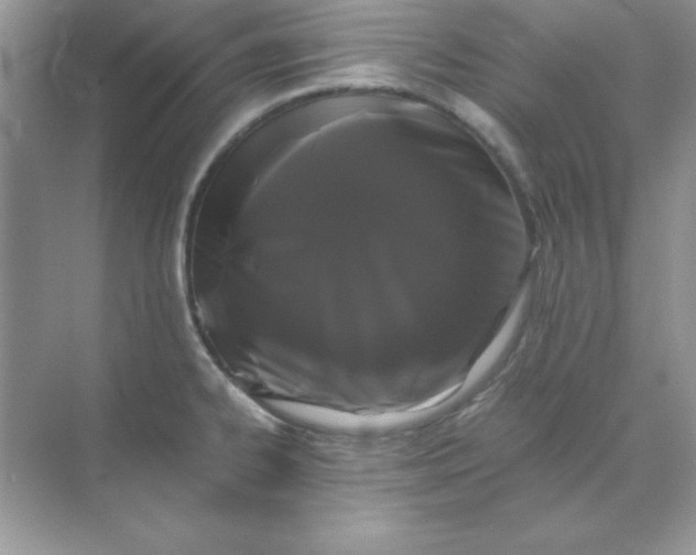 X0000071901334200607212006