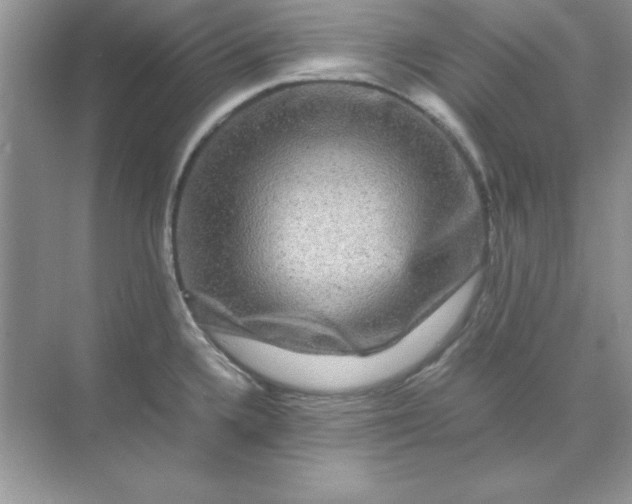 X0000071901336200607212006