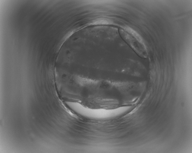 X0000071901337200607212006