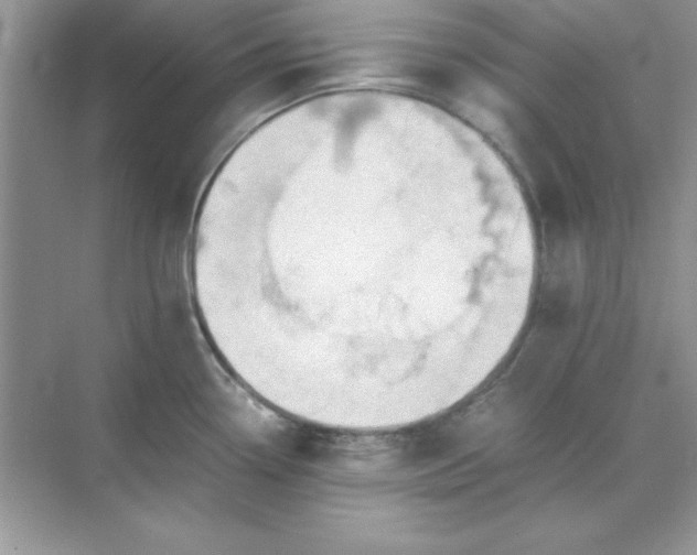 X0000071901338200607212006