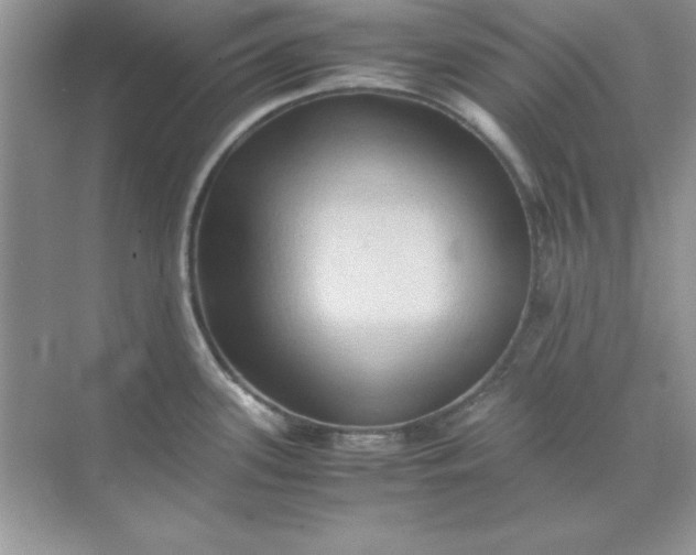 X0000071901339200607212006