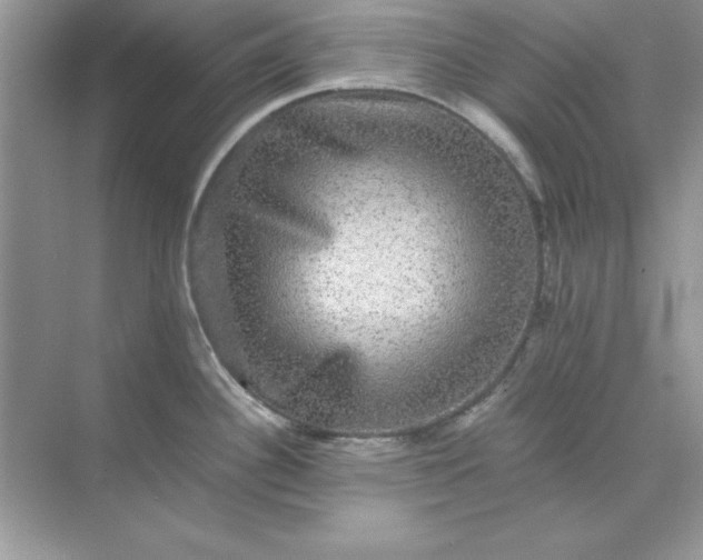 X0000071901340200607212006