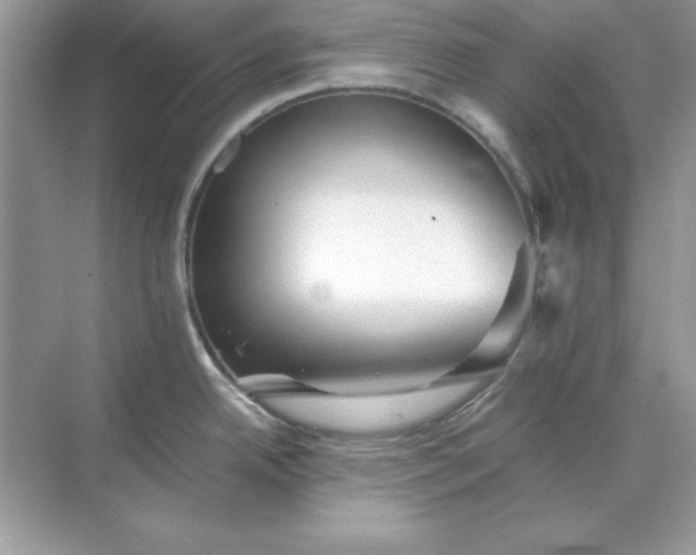 X0000071901342200607212006