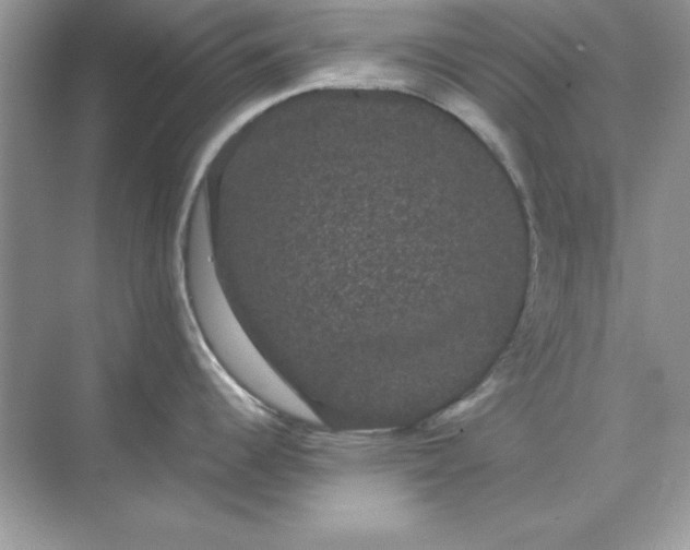 X0000071901344200607212006