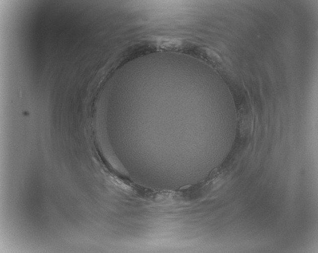 X0000071901345200607212006