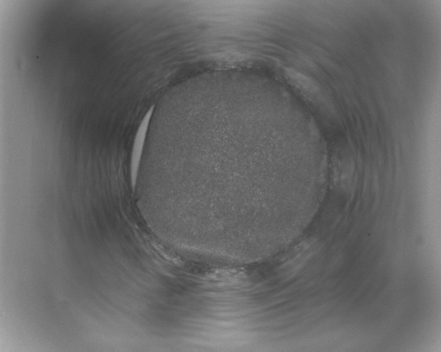 X0000071901346200607212006