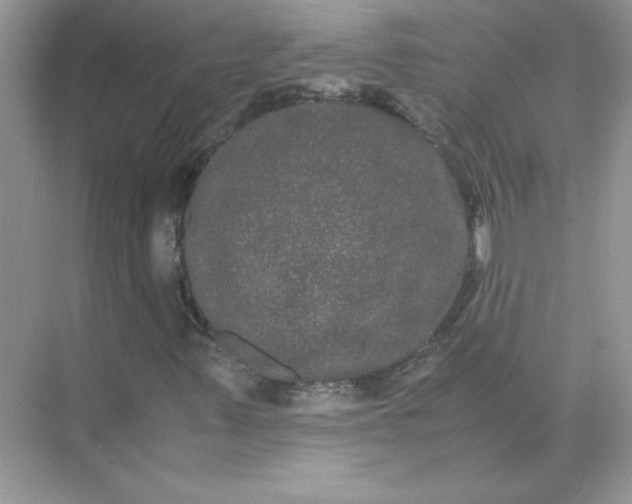 X0000071901347200607212006