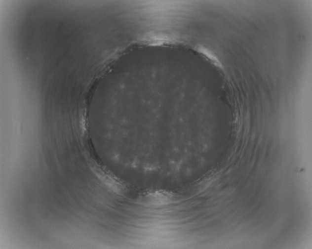 X0000071901348200607212006