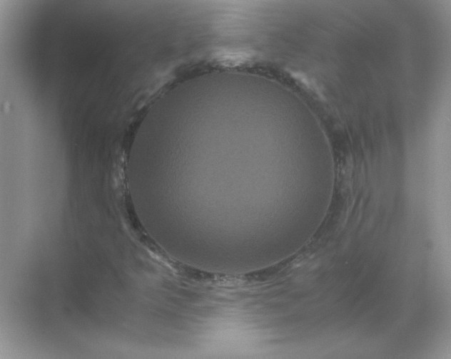 X0000071901349200607212006