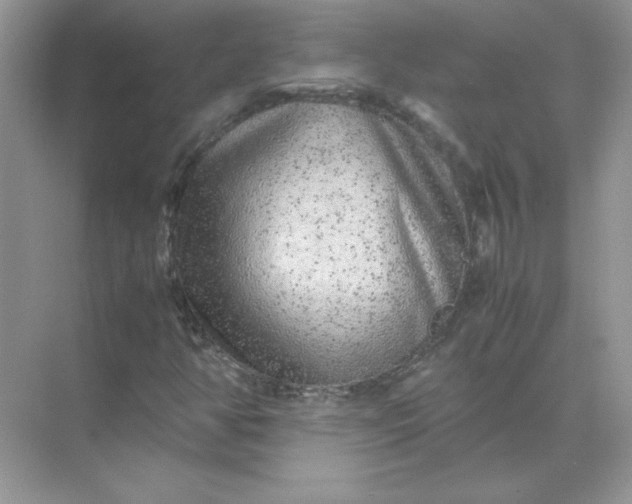 X0000071901350200607212006