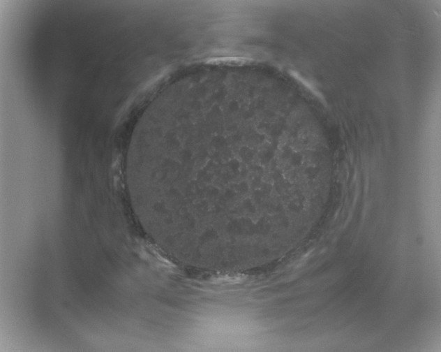 X0000071901351200607212005