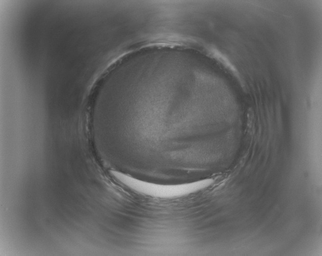 X0000071901352200607212005