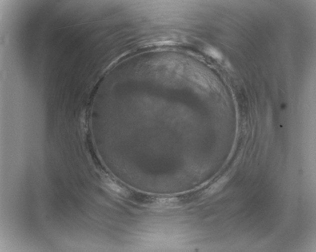 X0000071901353200607212005