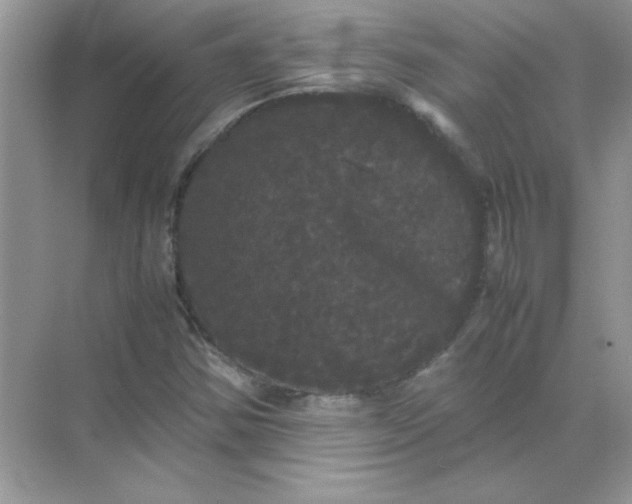 X0000071901354200607212005