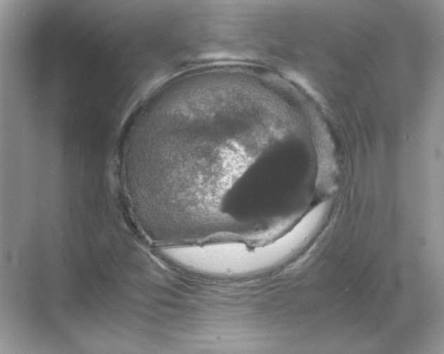 X0000071901357200607212005