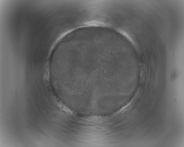 X0000071901358200607212005