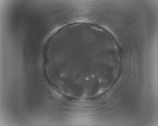 X0000071901359200607212005