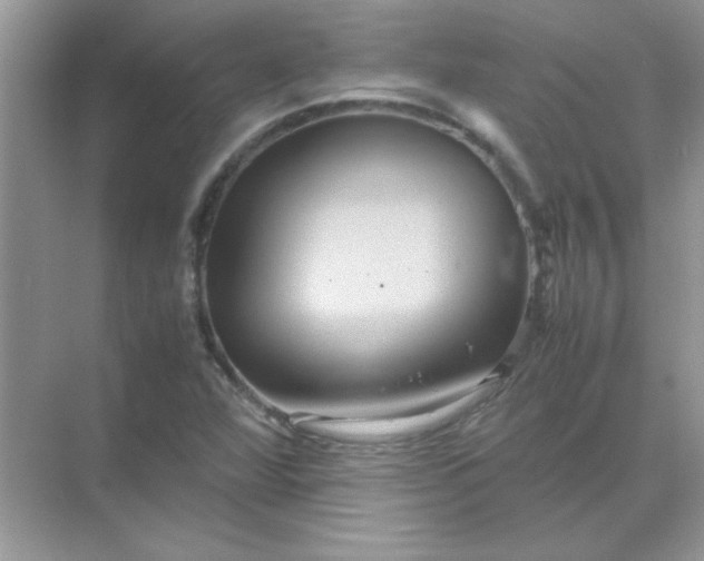 X0000071901360200607212005