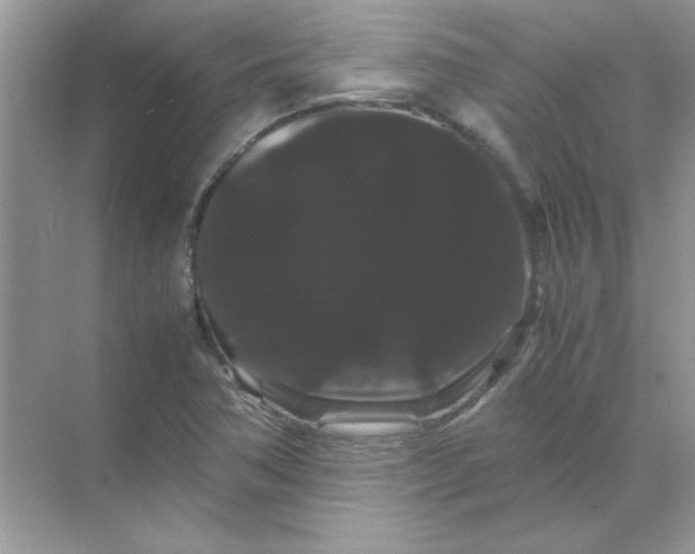 X0000071901362200607212005