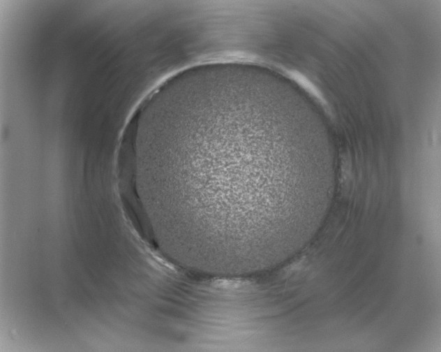 X0000071901364200607212005