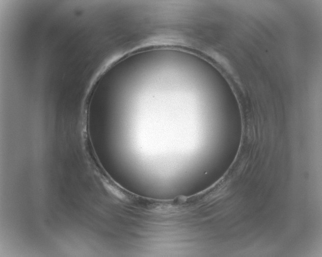 X0000071901366200607212005