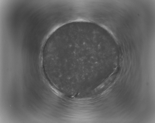 X0000071901367200607212005